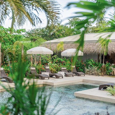 Les Voiles Blanches - Luxury Lodge Tamarindo Exteriör bild